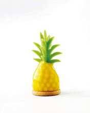 Mini by Xavi Donnay