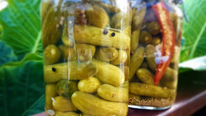 How To Make Amazing Pickled Gherkins